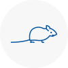 Mice Exterminators In Alsager